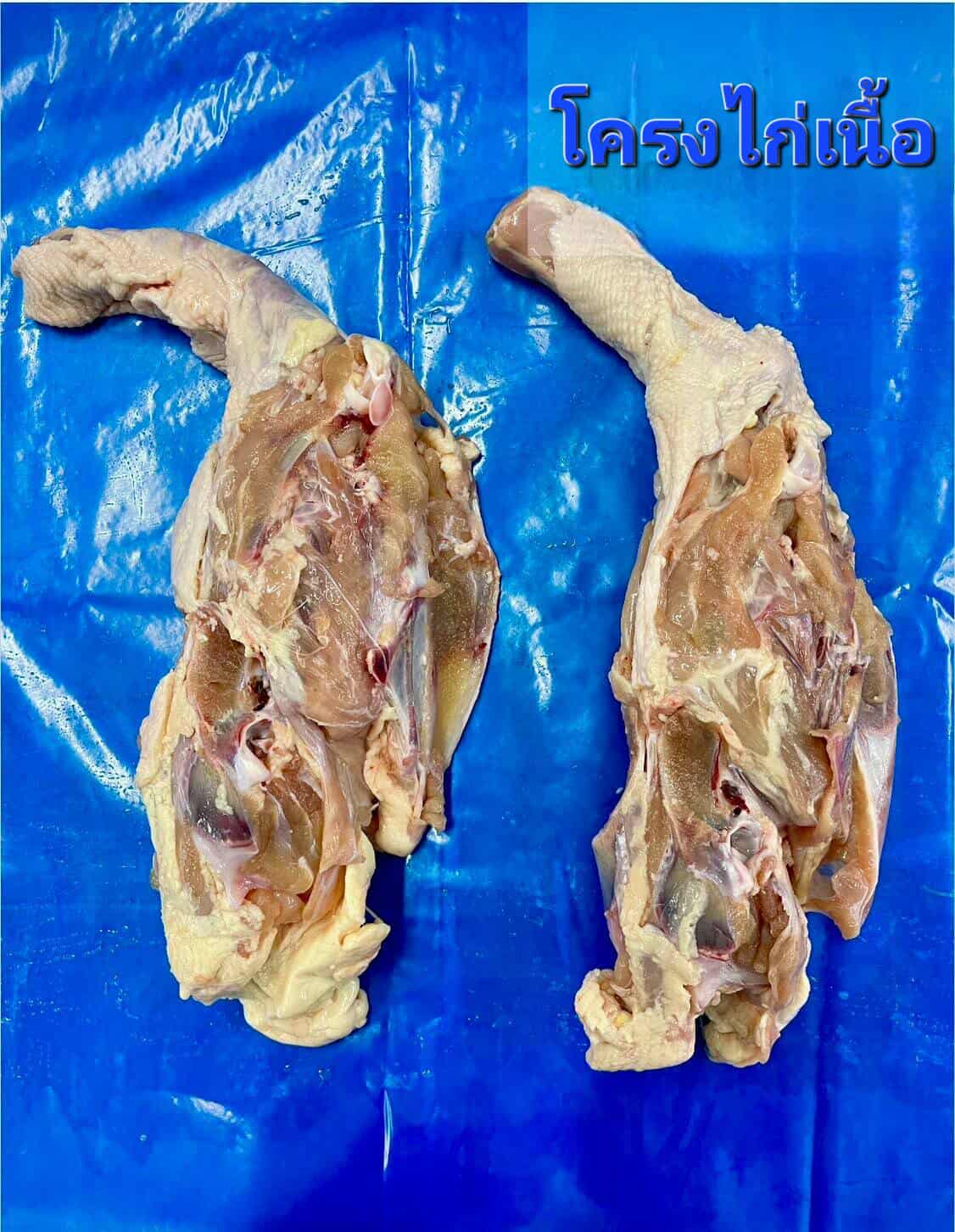 โครงไก่เนื้อ