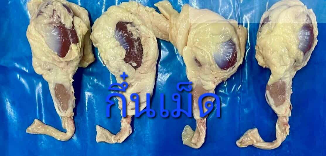 กึ๋นเม็ด