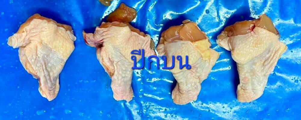 ปีกบน