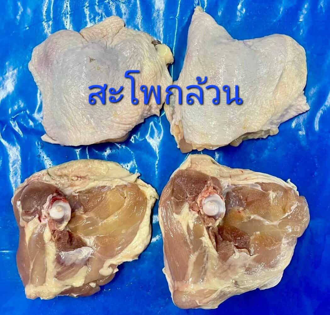สะโพกล้วน