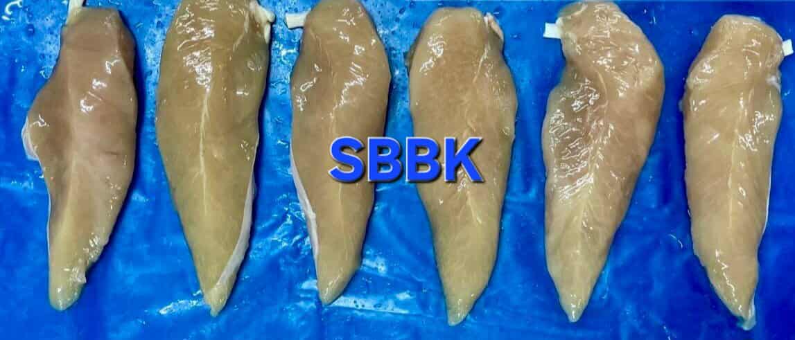 SBBK