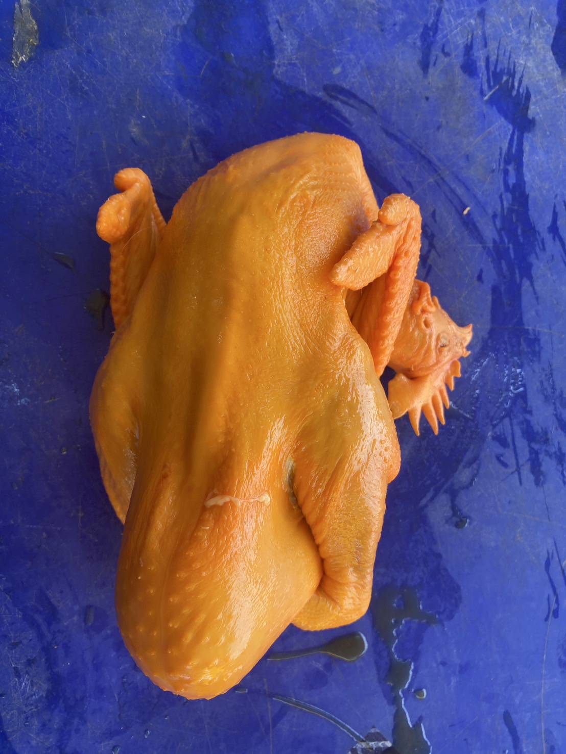 ไก่ไข่
